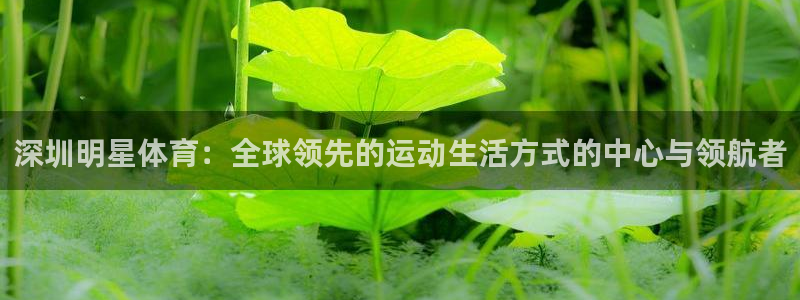 米兰体育靠谱吗：深圳明星体育：全球领先的运动生活方式的中心与领航者