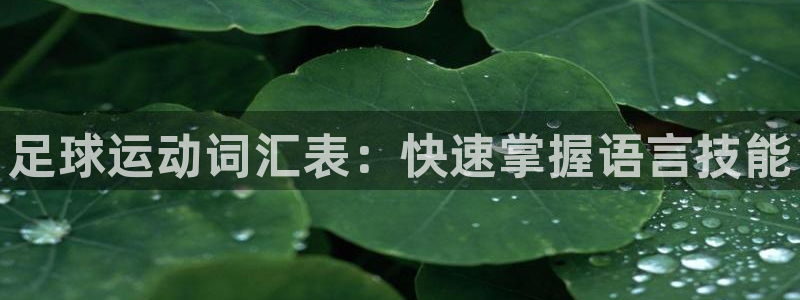 米兰体育网页版登录：足球运动词汇表：快速掌握语言技能