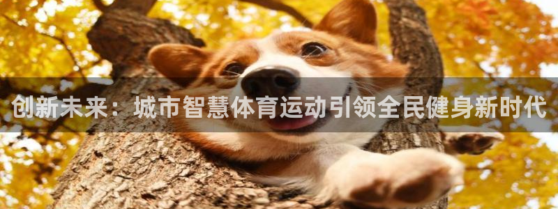 米兰体育登录：创新未来：城市智慧体育运动引领全民健身新时代