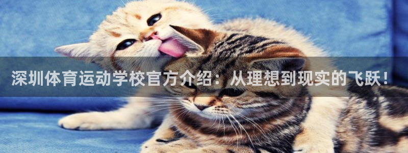 米兰体育网址：深圳体育运动学校官方介绍：从理想到现实的飞跃！