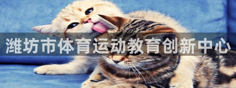 米兰体育网站：潍坊市体育运动教育创新中心