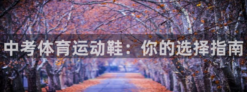 米兰体育怎么样：中考体育运动鞋：你的选择指南